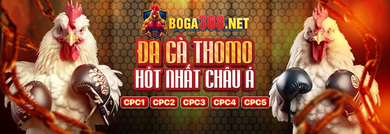 Hình ảnh chính blog 1133win Casino