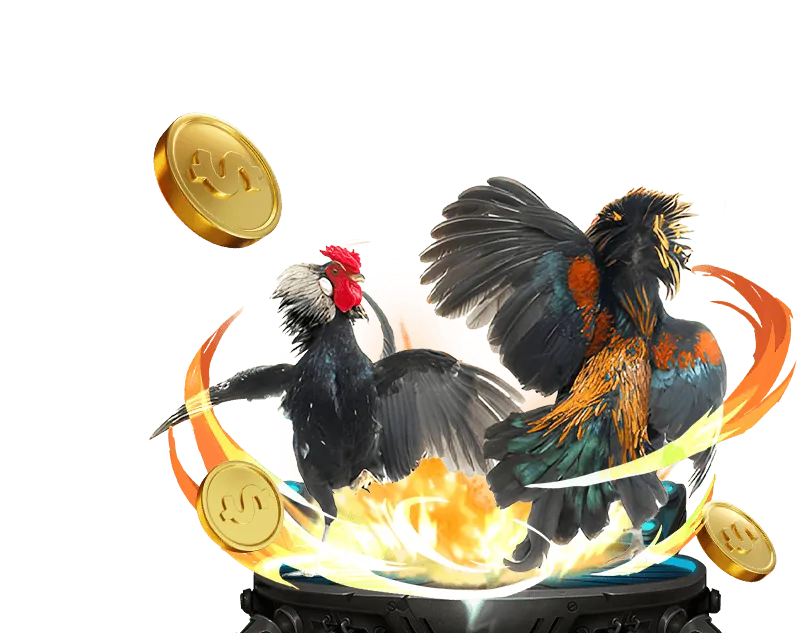 Tổng quan thương hiệu 1133win casino